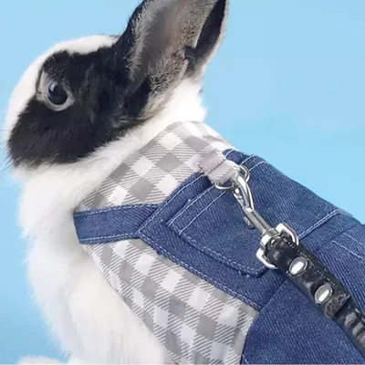 Zoomtopia Harnais pour lapin et chat