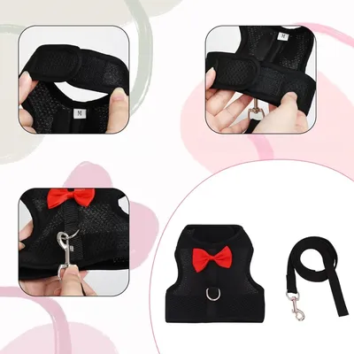 Zoomtopia Harnais pour lapin