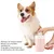 Zoomtopia Tasse de nettoyage pour pattes de chien