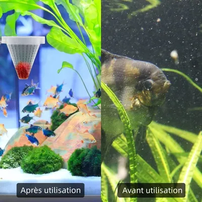 Zoomtopia 4PCS Aquarium Cone Feeder