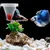 Zoomtopia 4PCS Aquarium Cone Feeder