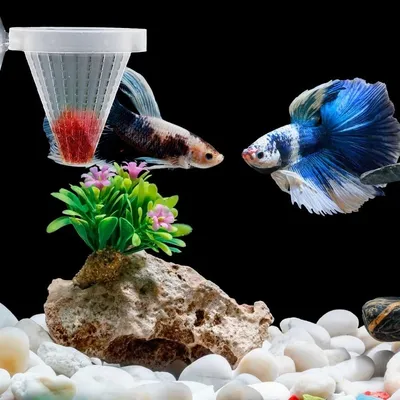 Zoomtopia 4PCS Aquarium Cone Feeder