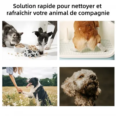 Zoomtopia Lingettes d'hygiène pour animaux 80 lingettes