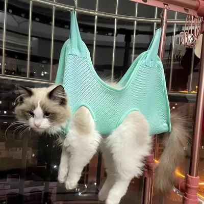 Zoomtopia Hamac de Soins pour Chiens et Chats vert