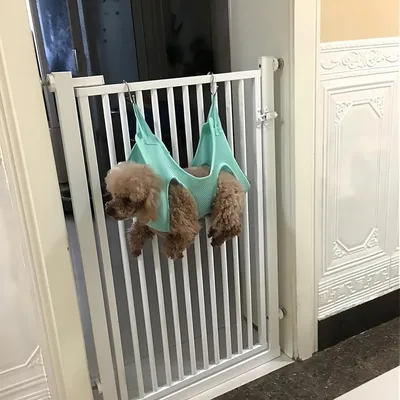 Zoomtopia Hamac de Soins pour Chiens et Chats vert