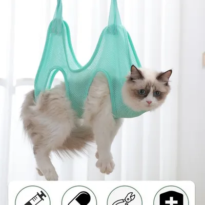 Zoomtopia Hamac de Soins pour Chiens et Chats vert