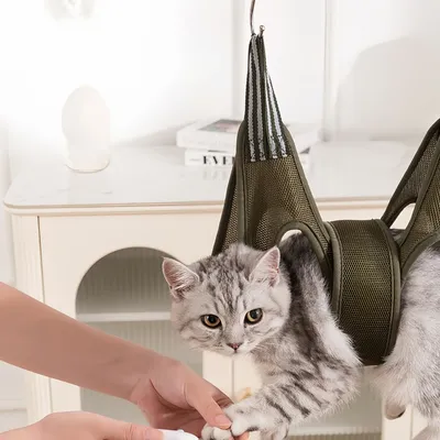 Zoomtopia Hamac de toilettage pour chien et chat vert