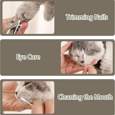 Zoomtopia Hamac de toilettage pour chien et chat vert