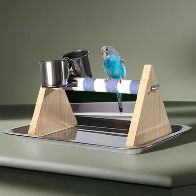 Zoomtopia Coupelles de mangeoire pour oiseaux