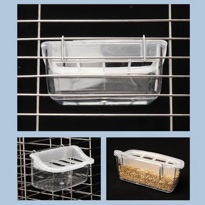 Zoomtopia Mangeoire pour oiseaux