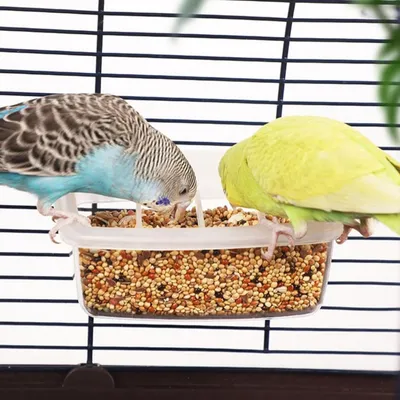 Zoomtopia Mangeoire pour oiseaux