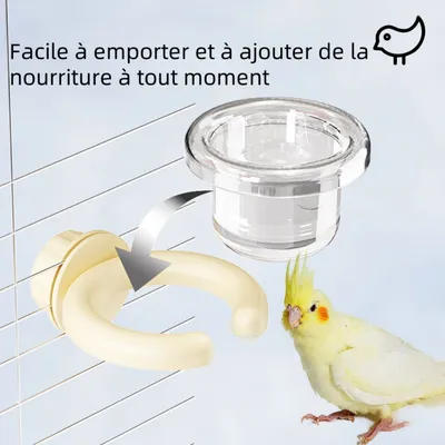 Zoomtopia Mangeoires à oiseaux