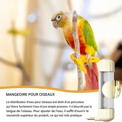 Zoomtopia Fontaine à eau pour oiseaux 200 ml