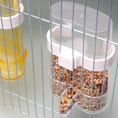 Zoomtopia Mangeoire à eau pour oiseaux