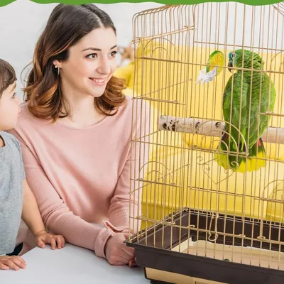 Zoomtopia Lot de 6 mangeoires en plastique pour cage à oiseaux