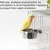 Zoomtopia Bol pour oiseau en acier inoxydable
