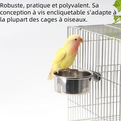 Zoomtopia Bol pour oiseau en acier inoxydable