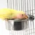 Zoomtopia Bol pour oiseau en acier inoxydable