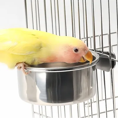 Zoomtopia Bol pour oiseau en acier inoxydable