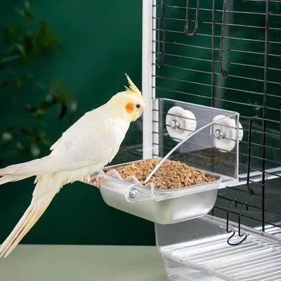 Zoomtopia Mangeoire à oiseaux