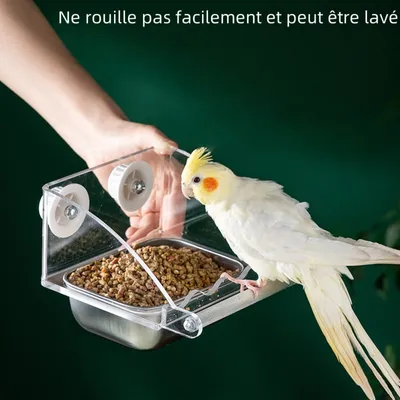 Zoomtopia Mangeoire à oiseaux