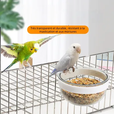 Zoomtopia Mangeoire en acrylique transparent pour cage à oiseaux