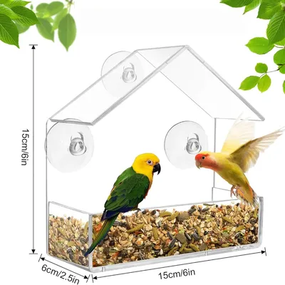 Zoomtopia Mangeoire à oiseaux transparente