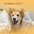 Zoomtopia Nettoyage des dents pour chats et chiens 60ml