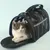 Zoomtopia Sac de transport pour chat et petit chien