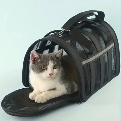Zoomtopia Sac de transport pour chat et petit chien