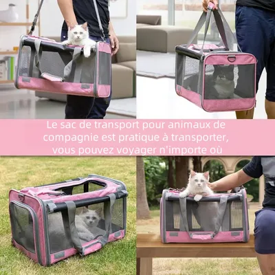 Zoomtopia Sac à dos ventilé pour chat