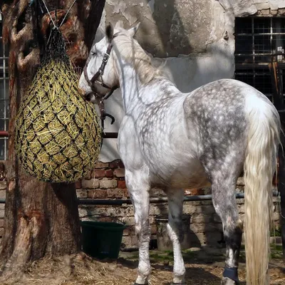 Zoomtopia Sacs à foin pour cheval