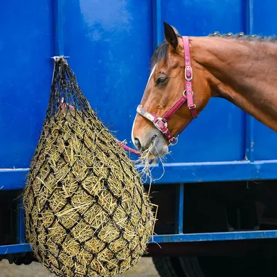 Zoomtopia Sacs à foin pour cheval