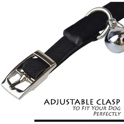 Zoomtopia Collier de chat en velours