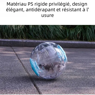 Zoomtopia Balle de fitness transparente pour petits animaux