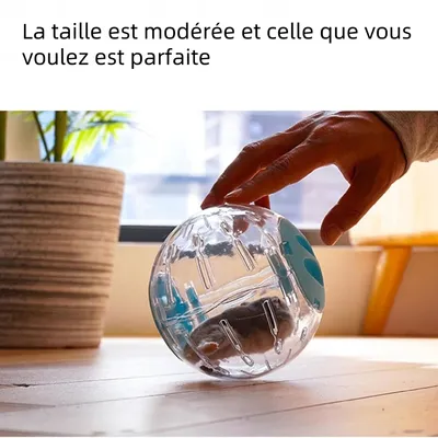 Zoomtopia Balle de fitness transparente pour petits animaux