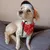 Zoomtopia Bandana-Halsband für Hunde Zoomtopia Bandana-Halsband für Hunde