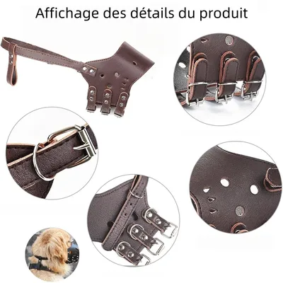 Zoomtopia Muselière en cuir pour chien