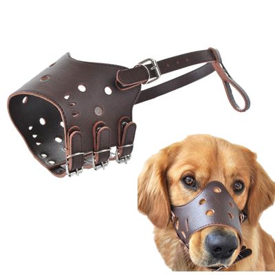 Zoomtopia Muselière en cuir pour chien