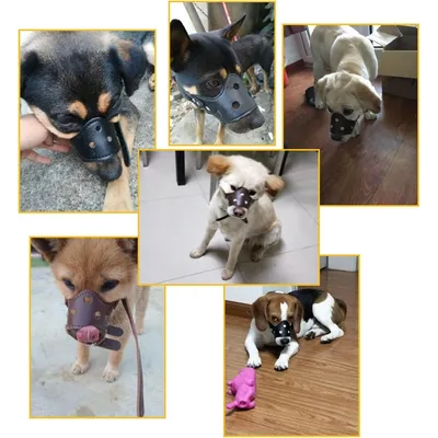 Zoomtopia Muselière en cuir pour chien