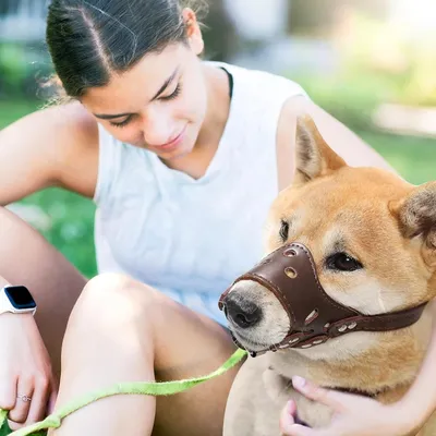 Zoomtopia Muselière en cuir pour chien
