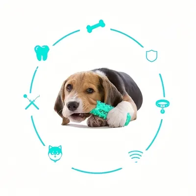 Zoomtopia Jouets de dentition pour chiens