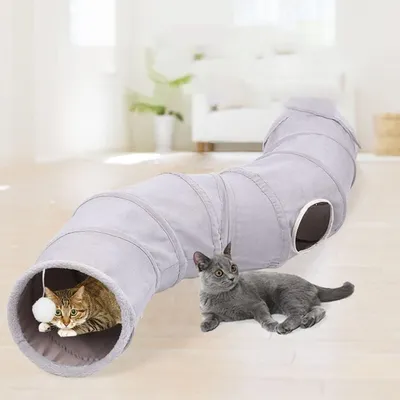 Zoomtopia Tunnel interactif pour chat