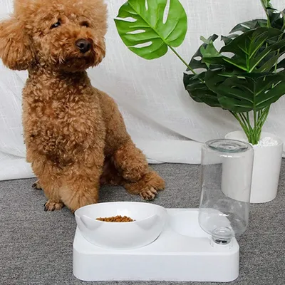 Zoomtopia Ensemble Nourriture et Eau pour Chien et Chat-Petit