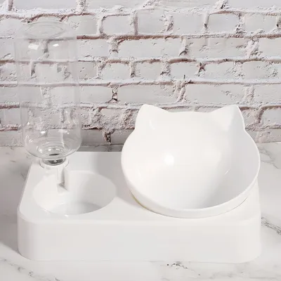 Zoomtopia Ensemble Nourriture et Eau pour Chien et Chat- Grand