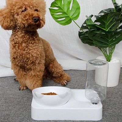 Zoomtopia Ensemble Nourriture et Eau pour Chien et Chat- Grand