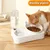 Zoomtopia Ensemble Nourriture et Eau pour Chien et Chat- Grand