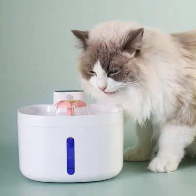 Zoomtopia Distributeur d'eau pour chat et chien
