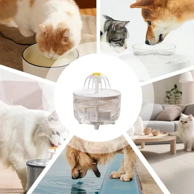 Zoomtopia Fontaine à eau pour chat avec filtre à circulation automatique