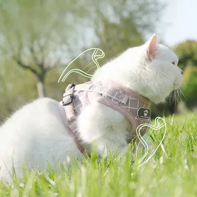 Zoomtopia Harnais pour chat en maille souple